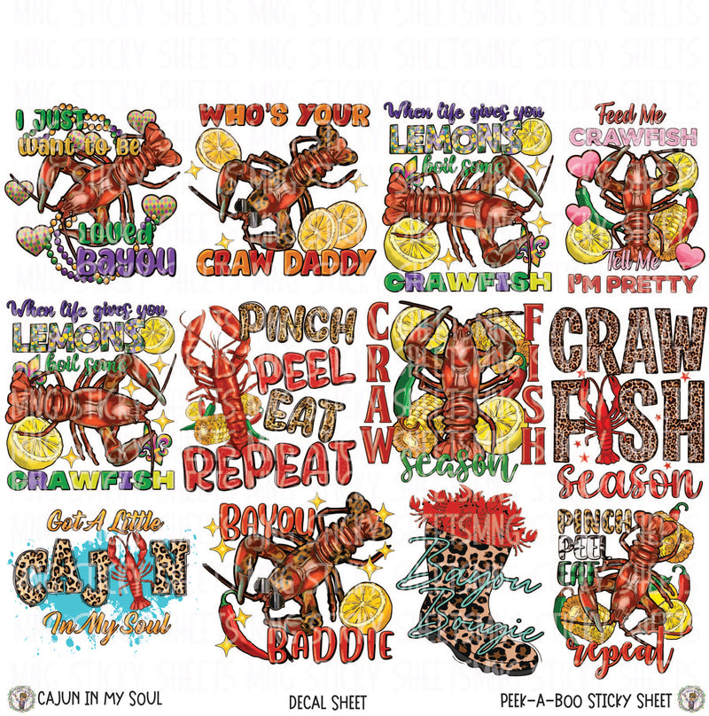 MNG Sticky Sheet Decals **Cajun In My Soul**